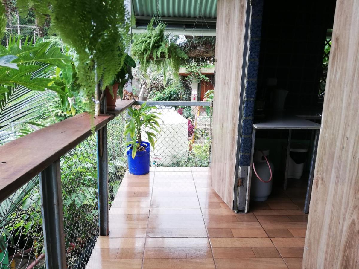 Casita Tangara Con Balcon Y Agua Caliente Leilighet Drakes Bay Rom bilde