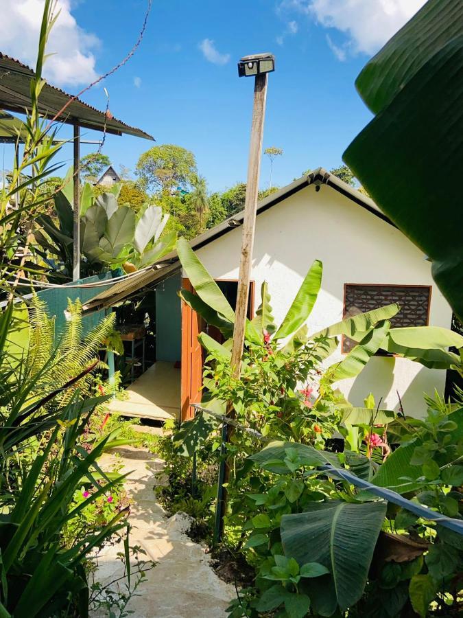 Casita Tangara Con Balcon Y Agua Caliente Leilighet Drakes Bay Eksteriør bilde