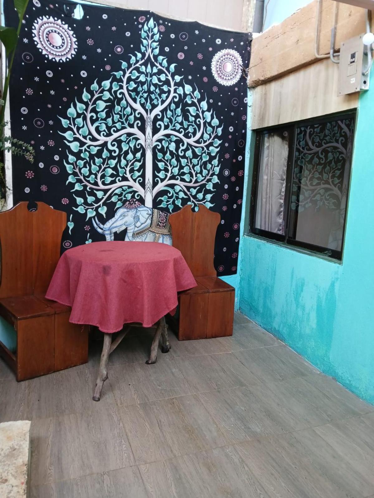 Casita Tangara Con Balcon Y Agua Caliente Leilighet Drakes Bay Eksteriør bilde
